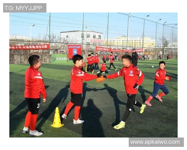 最新天津籍足球明星名单及其成就分析与发展前景探讨