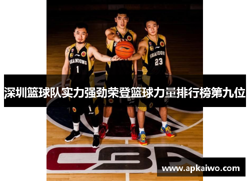 深圳篮球队实力强劲荣登篮球力量排行榜第九位