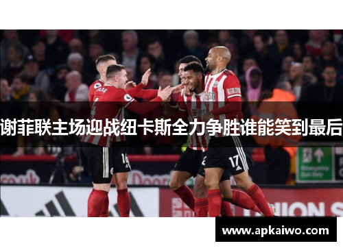 谢菲联主场迎战纽卡斯全力争胜谁能笑到最后